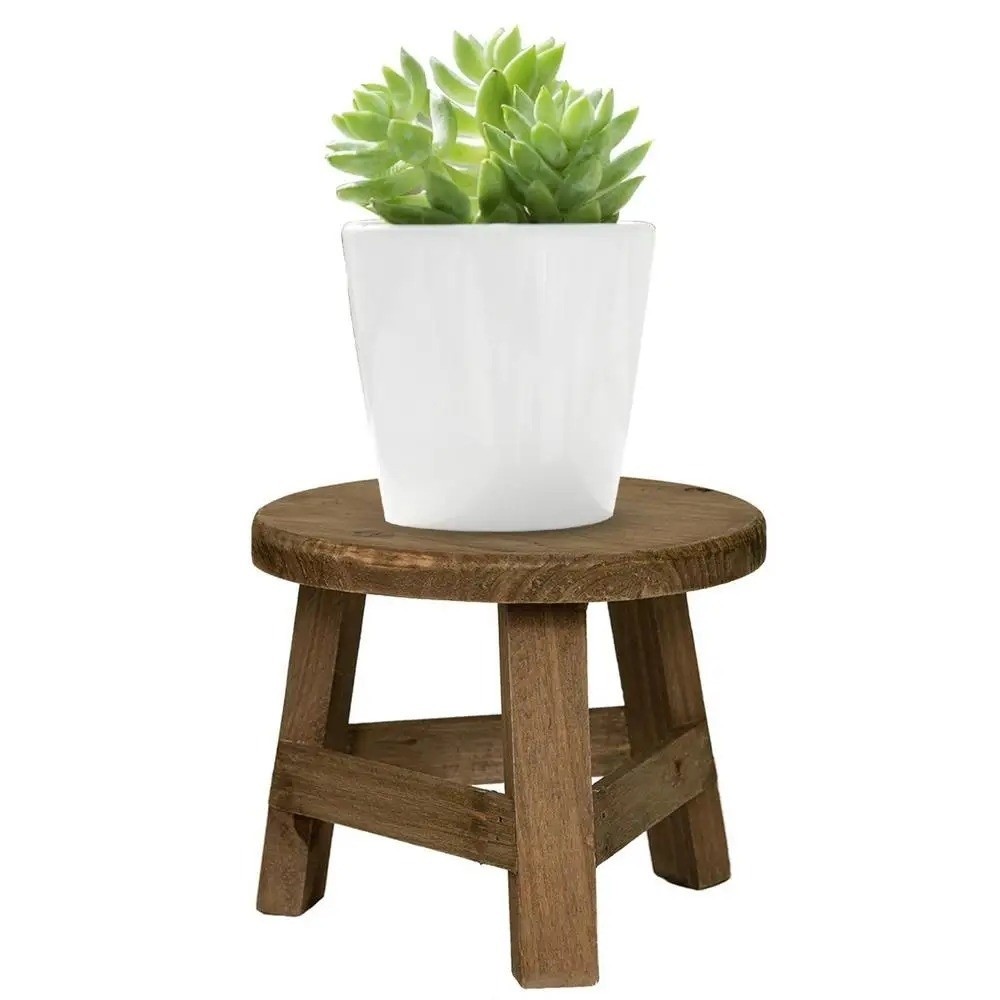 Soporte Moderno para Bonsáis,  - Woodworking Veneer reseña y precio